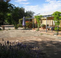 Peechabella Vineyards Bed  Breakfast - Accommodation Mount Tamborine