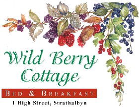 Wild Berry Cottage - Accommodation Mount Tamborine 0