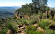 The Dutchmans Stern Old Homestead And Shearers Quarters - thumb 0