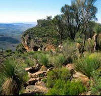 The Dutchmans Stern Old Homestead and Shearers Quarters - Accommodation Mount Tamborine