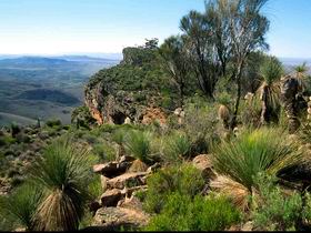 The Dutchmans Stern Old Homestead And Shearers Quarters - Accommodation Mount Tamborine 0