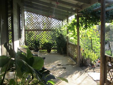 Kookaburra Creek Retreat - Accommodation Mount Tamborine 2