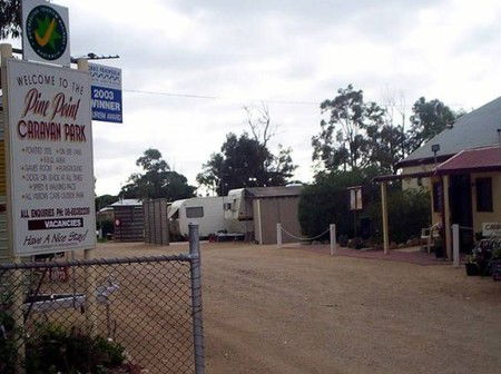 Pine Point Caravan Park - Accommodation Mount Tamborine 2