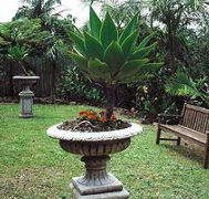 Bangalow Retreat - Accommodation Mount Tamborine