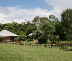 Feathers Sanctuary - Accommodation Mount Tamborine 3