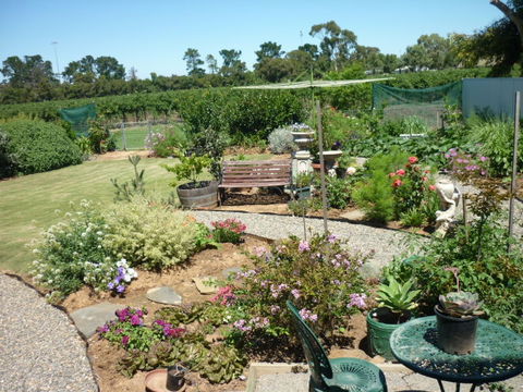 Cleggett Wines - Accommodation Mount Tamborine 1