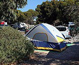 Marion Bay Caravan Park - Accommodation Mount Tamborine 6