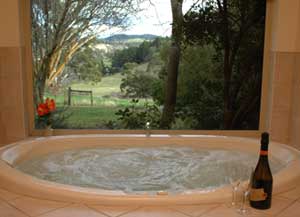 Adelaide Hills Country Cottages - The Nest - Accommodation Mount Tamborine 0
