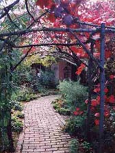 Adelaide Hills Country Cottages - The Nest - Accommodation Mount Tamborine 2