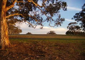 Mirrabooka Bed And Breakfast - Accommodation Mount Tamborine 1