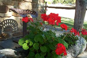 Adelaide Hills Country Cottages - Gum Tree Cottage - Accommodation Mount Tamborine 3