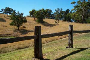 Adelaide Hills Country Cottages - Gum Tree Cottage - Accommodation Mount Tamborine 4