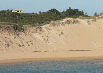 Ark Bed And Breakfast - Accommodation Mount Tamborine 1