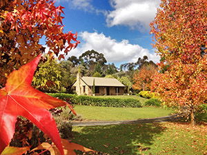 Adelaide Hills Country Cottages - Lavender Fields - Accommodation Mount Tamborine 0