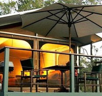 Jabiru Safari Lodge at Mareeba Wetlands - Accommodation Mount Tamborine