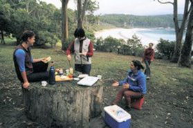 Fortescue Bay TAS Accommodation Mount Tamborine