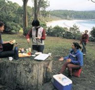 Fortescue Bay Camping Ground - Accommodation Mount Tamborine