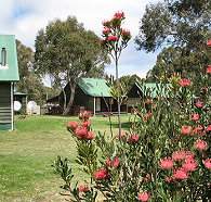 Derwent Bridge Chalets and Studios - Accommodation Mount Tamborine