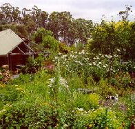 Plovers Ridge Country Retreat - Accommodation Mount Tamborine