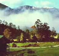 Mountain Valley Wilderness Holidays - Accommodation Mount Tamborine