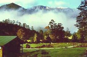 Mountain Valley Wilderness Holidays - Accommodation Mount Tamborine 0