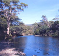 Douglas River Cabin - Accommodation Mount Tamborine