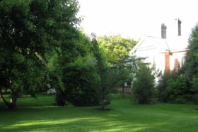 Oakdene Heritage Accommodation - Accommodation Mount Tamborine 0