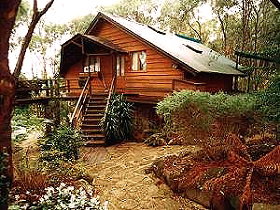 Marions Vineyard (Accommodation) - Accommodation Mount Tamborine 0