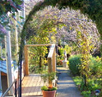 Penarth Haven - Accommodation Mount Tamborine