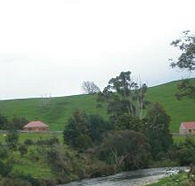 Tin Dragon Trail Cottages - Accommodation Mount Tamborine