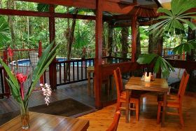 Daintree Wilderness Lodge - Accommodation Mount Tamborine 0