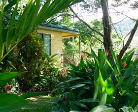 Daintree Valley Haven - Accommodation Mount Tamborine 0