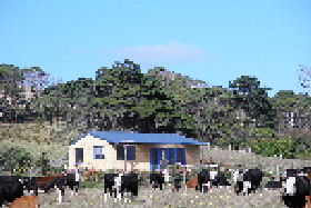 Marrawah Beach House - Accommodation Mount Tamborine 0
