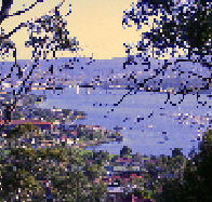 Possums Bed  Breakfast - Accommodation Mount Tamborine