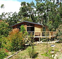 Southern Forest Accommodation - Accommodation Mount Tamborine