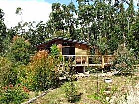 Southern Forest Accommodation - Accommodation Mount Tamborine 0