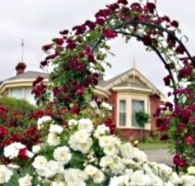 Golden Embers Apartments and B and B - Accommodation Mount Tamborine