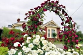 Golden Embers Apartments And B And B - Accommodation Mount Tamborine 0