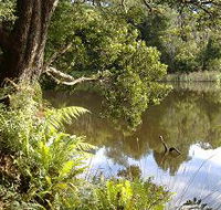 Weldborough Camping Ground - Accommodation Mount Tamborine