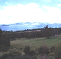 Waterview Gardens - Accommodation Mount Tamborine