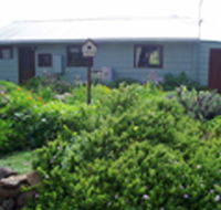 Engadine Cottage - Accommodation Mount Tamborine