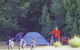 Maria Island Camping Ground - thumb 0
