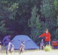 Maria Island Camping Ground - Accommodation Mount Tamborine