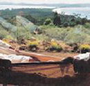 Morella Island Retreats P/L - Accommodation Mount Tamborine