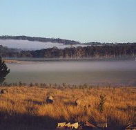 Fonthill - Accommodation Mount Tamborine