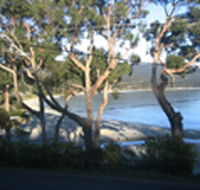Bruny Island Retreat - Accommodation Mount Tamborine