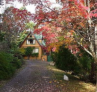 Woodbridge Hill Cottage - Accommodation Mount Tamborine