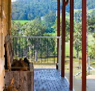 Manfield - Accommodation Mount Tamborine
