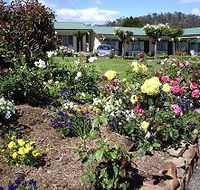 Wintersun Gardens Motel - Accommodation Mount Tamborine