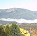 Lindisfarne Motor Inn - Accommodation Mount Tamborine